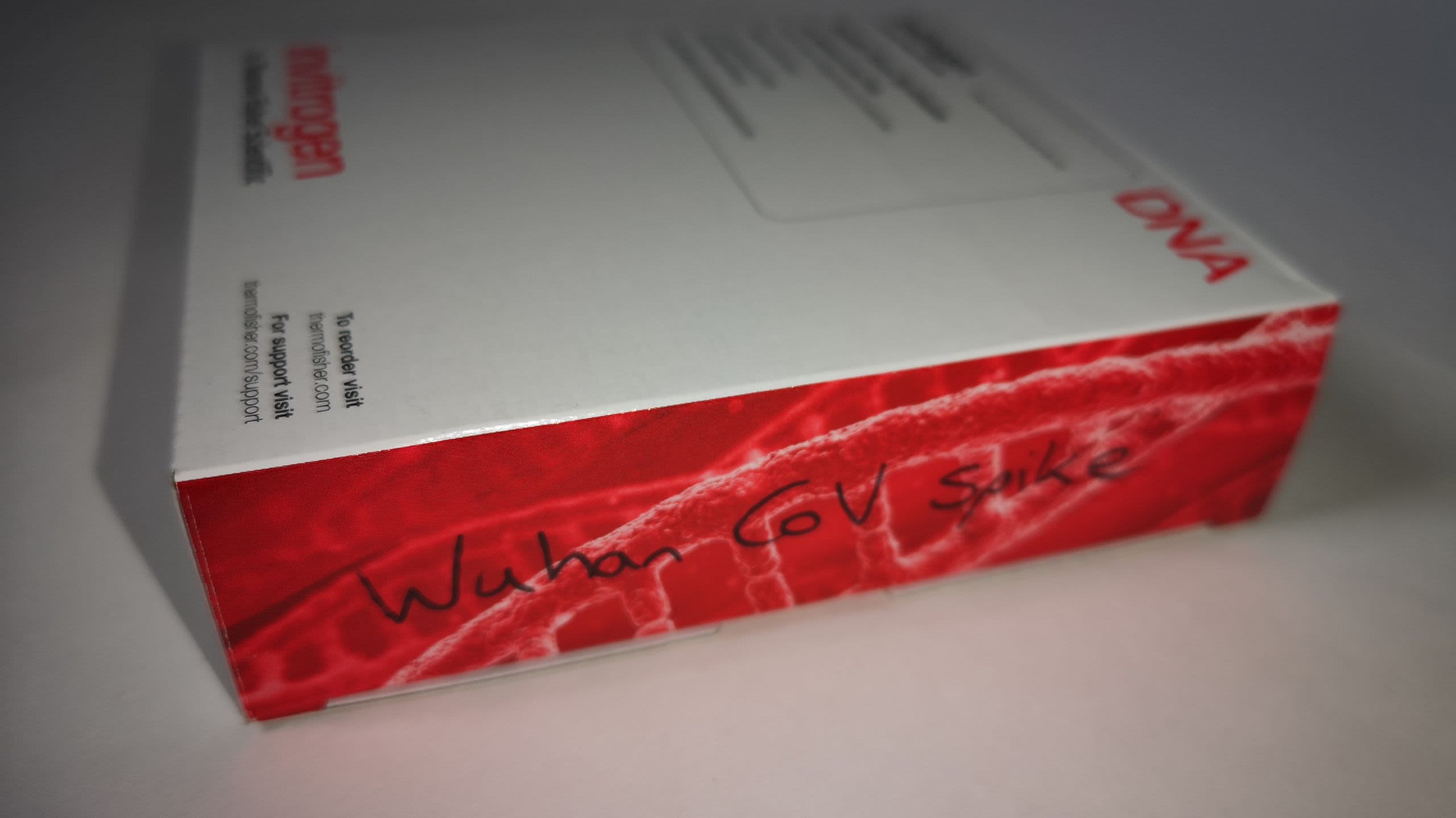 Invitrogen Gene Synthesis box with insert (Inv: 18535)