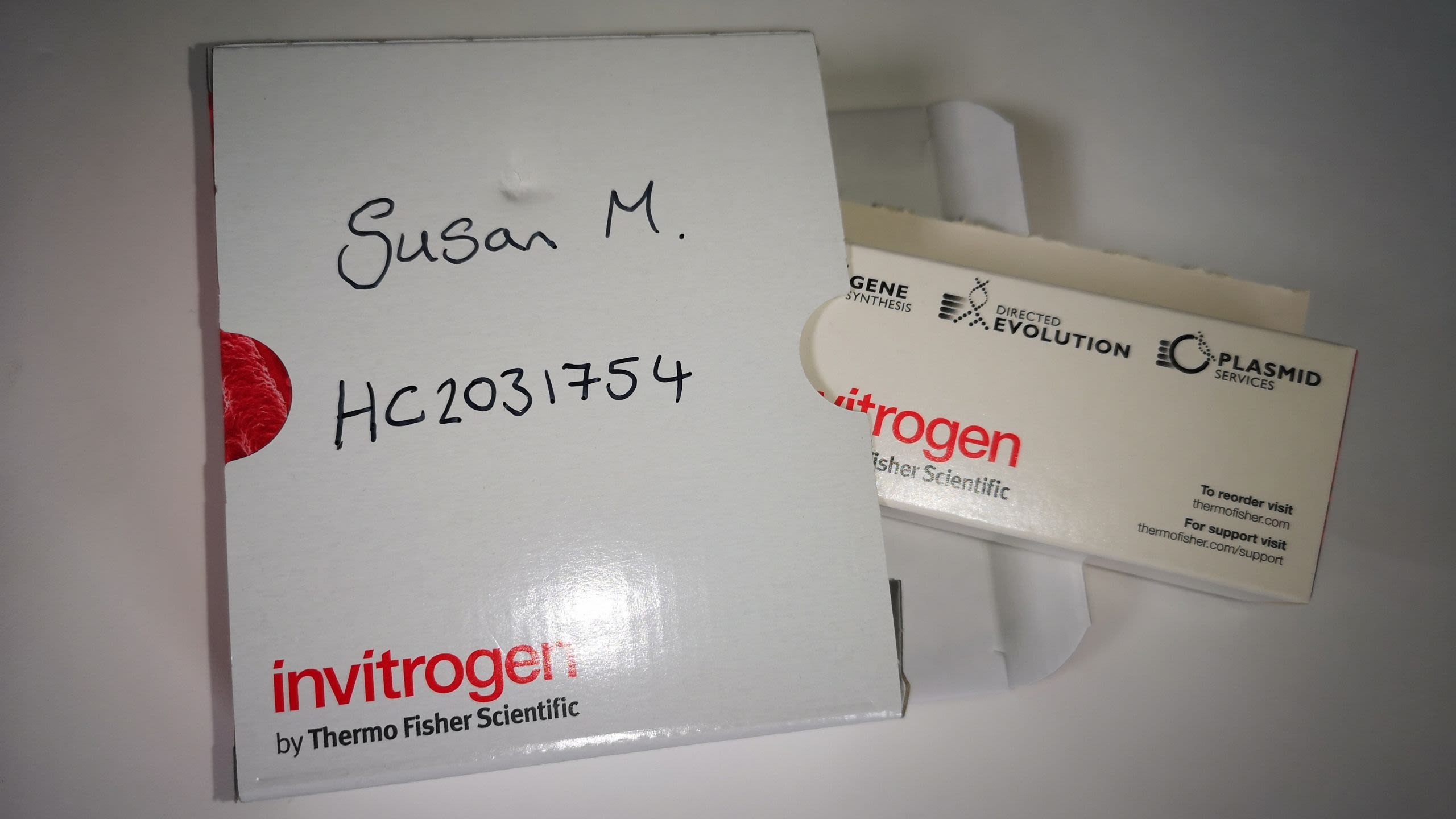 Invitrogen Gene Synthesis box with insert (Inv: 18535)